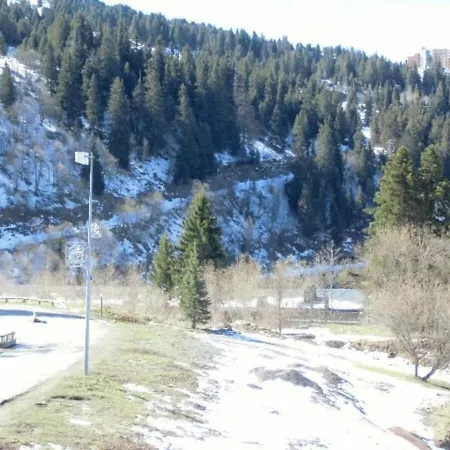 3 Places A Cote Des Pistes, Commerces Et Esf, Balcon, Animaux Acceptes - Fr-1-340-31 Apartment *